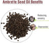 Crysalis Ambrette Seed (Abelmoschus moschatus) Oil - 0.51 Fl Oz (15ml)...