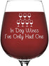 In Dog Wines Funny Wine Glass - Wine's Lover Gifts for Women - Dog Mom Gift - Unique Gag Wine's Gifts for Dog's Lovers - Cool Birthday Present - F...
