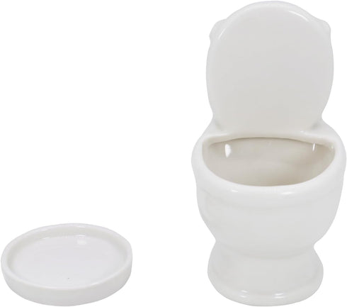 Cute Toilet Bowl Succulent Planter Pot with Drainage Tray, White Ceramic Cactus/Flower Container, Bonsai Holder for Air Plants...