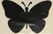 Retractable Screen Door Decals (Stickers) - 5 per Package - Keep Children Safe - Alert Birds, Dogs, Kids - Warn, Protect, Window Safety - Butterfl...