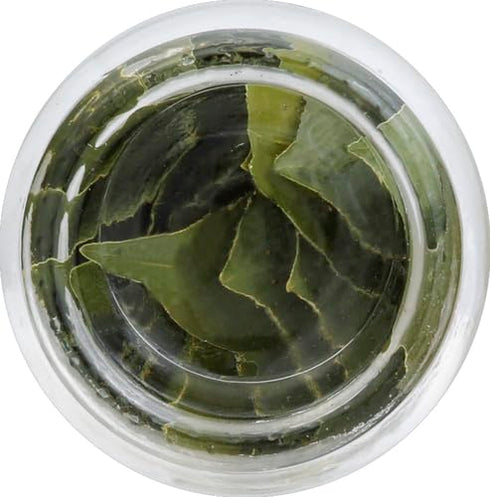 Spice Islands Whole Bay Leaf, 0.14 Oz...