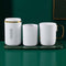 Toothbrush cupp Portable for Travel (White), GT25413...