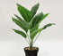 Rikyo 2 Bunches Artificial Bird of Paradise Plants 18" Permanent Leaf,Tropical Leaves Faux Strelitzia 12 Leaves Banana Tree for Potted Plant Flowe...