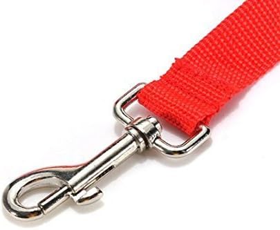 Pet Dog Training Leash Strong Durable Nylon Lead, Traction Rope, 5 Feet Long for Puppy Kitty Rabbit Training or Walk 3 Pack Set...