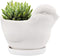 GeLive White Bird Ceramic Succulent Planter Animal Plant Pot Flower Vase Bonsai Windowsill Box with Drainage Saucer Adorable Indoor Home Decoratio...