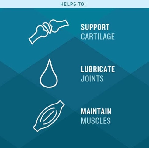 VetIQ Glucosamine Hip & Joint Supplement for Dogs, 60 Soft Chews, Dog Joint Support Supplement with MSM and Krill, Dog Health Supplies Large & Sma...