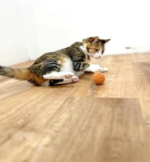 Interactive Cat Toy Balls - Infused with Catnip & Feather Kicker- Set of 2 Toy Balls, Small, Brown Orange...