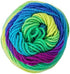 Red Heart Bulk Buy Super Saver Yarn (3-Pack) Parrot E300-4968......