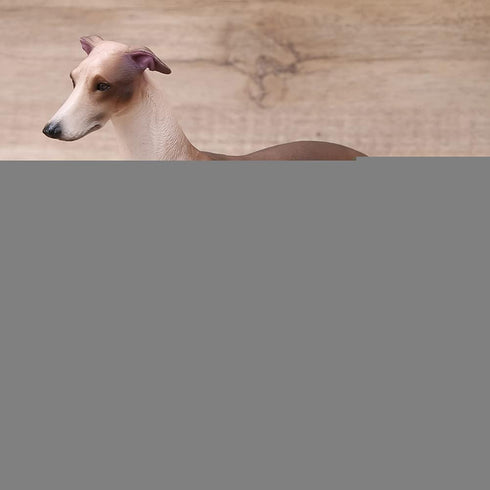 Greyhound Model, Plastic Material Simulation Greyhound , Teaching Tool Smoothing for...