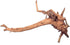 Ipetboom Natural Driftwood for Aquarium - 2pcs Driftwood for Freshwater Aquarium Hamster Water Bottle - Aquarium Decor Spider Wood Freshwater Fish...