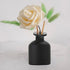 1PCS 150ml/5oz Glass Diffuser Bottle Jars Pot Empty Refillable Exquisite Essential Oils Container for DIY Reed Diffuser Sticks Sets Crafts Decor E...