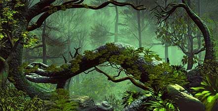 Forest Aquarium Background, Tropical Green Trees Stone Reptile Habitat Background, Foggy Rainforest Fish Tank Background Cloth, 48X24 inches Polye...