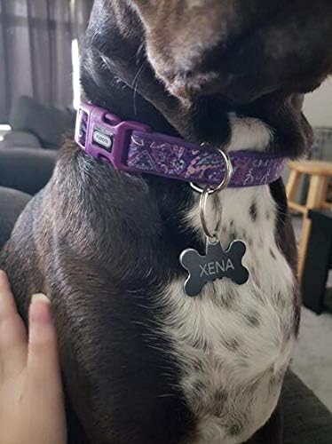 Durable Dog Collar with Maple Leaves Pattern, Neoprene Padded Soft and Comfortable, Adjustable Collars for Small Dogs & Puppies...