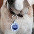 Airtag Keychain Waterproof,Air Tag Holder Case Compatible with Apple AirTag Case for Dog Cat Collar Tracker Key Ring Locator Protective Cover (GI-...