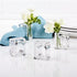 Deco-Mate Acrylic Napkin Rings Bud Vase Flower Holder – Clear - Table Décor, 2-in 1 (Bulk Set) Wholesale (4)...
