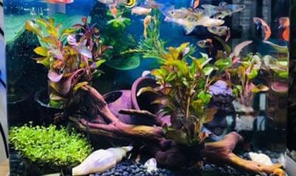 Ceramic Shelters, 2 pcs, Fish Tank Accessories, Fish House, Swim Holes Aquatic, Aquarium Cave for Freshwater and Saltwater Fish Tank, Pets to Bree...