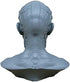 airgoesin Human Model Craft Anatomy Skull Head Muscle Bone Medical Artist Drawing Study (Blue)...