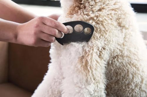 The Fur Hero - Say Goodbye to tangles, mats, and eye gunk using our guarded comb with an embedded razor blade, making grooming an easy bonding exp...