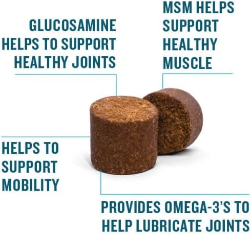 VetIQ Glucosamine Hip & Joint Supplement for Dogs, 60 Soft Chews, Dog Joint Support Supplement with MSM and Krill, Dog Health Supplies Large & Sma...
