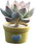Succulent Pots,Zcargel Car Succulents Potted Decoration Cute Resin Ornaments Car Shaking Head Toy Car Dashboard Decoration for Home, Office and Ga...