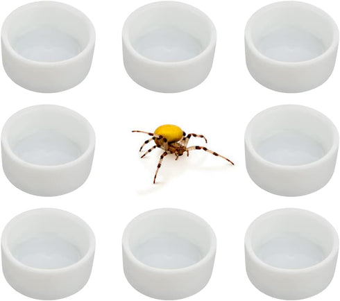 8 Pcs Spider Micro Ceramic Water Bowl Tarantula Mini Dish for Tarantula Spider Scorpion Cricket Snail Manti Millipede Tiny Bugs (White)...