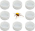 8 Pcs Spider Micro Ceramic Water Bowl Tarantula Mini Dish for Tarantula Spider Scorpion Cricket Snail Manti Millipede Tiny Bugs (White)...