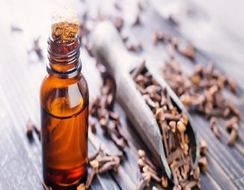 Palo Santo Essential Oil - Premium Grade A - Undiluted - 10 ml / 0.33oz -...