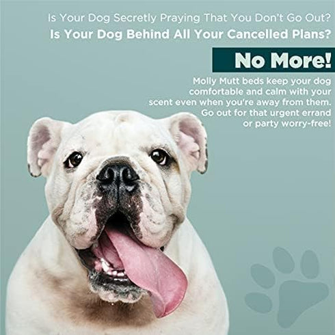 Molly Mutt Water-Resistant Dog Bed Liner, Polyester Bed Liner for Dogs, Easy to Clean, Gray, Small,22"x27"x4.75"...
