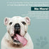 Molly Mutt Water-Resistant Dog Bed Liner, Polyester Bed Liner for Dogs, Easy to Clean, Gray, Small,22"x27"x4.75"...