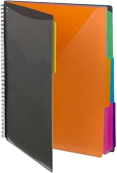 Smead 12 Pocket Poly Project Organizer, Letter Size, 1/3-Cut Tab, Gray with Bright Colors (89207)...