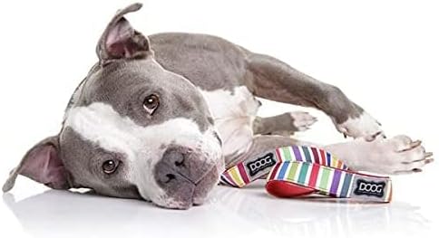 Neoprene Dog Leash SCOOBY - Large...