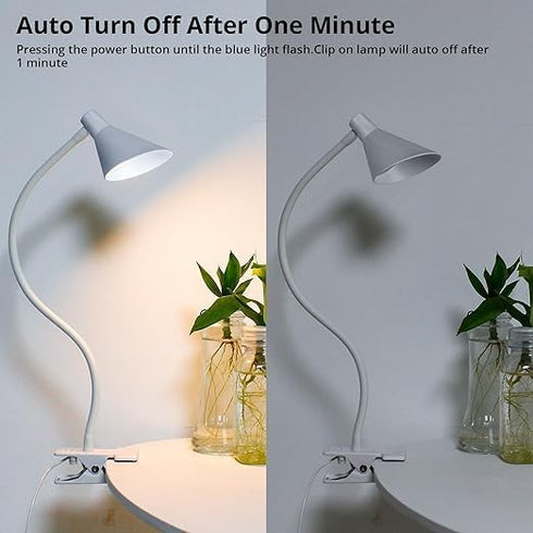 Desk Clip Light,3 Light Modes 10 Dimmable Brightness Reading Light, Flexible Neck Bedside Lamp, Small Table Clamp Lamp for Office, Bedroom, Bed He...