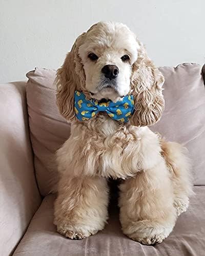 Huxley & Kent Bow Tie for Pets | Lucky Ducky (Small) | Easter Spring Velcro Bow Tie Collar Attachment | Fun Bow Ties for Dogs & Cats | Cute, Comfo...