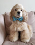 Huxley & Kent Bow Tie for Pets | Lucky Ducky (Small) | Easter Spring Velcro Bow Tie Collar Attachment | Fun Bow Ties for Dogs & Cats | Cute, Comfo...