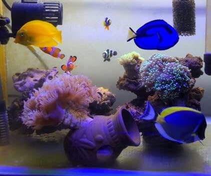 Ceramic Shelters, 2 pcs, Fish Tank Accessories, Fish House, Swim Holes Aquatic, Aquarium Cave for Freshwater and Saltwater Fish Tank, Pets to Bree...