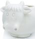 GeLive White Cow Ceramic Succulent Planter Tabletop Animal Plant Pot with Drainage Tray Indoor Cow Stuff Pen Pencil Brush Holder Desk Organizer De...
