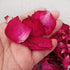 100 Grams Natural Real Red Rose Flower Petals Dried Rose Petals Real Flower Dry Red Rose Petal for Foot Bath Body Bath SPA Wedding Confetti Decora...
