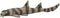 Safari Ltd. Bamboo Shark Figurine - Realistic 5.25" Sea Life Figure - Educational Toy for Boys, Girls and Kids Ages 3+...