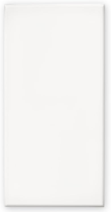 Color Factory 6inx12in Primed Stretch Artist Canvas...