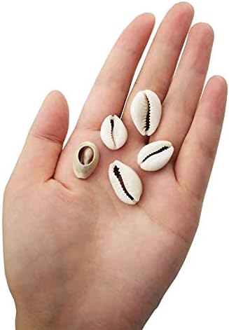 8 Ounces (160~220pieces) Natural Spiral Cowrie Shell Beads Cut Sea Shell Connectors Beach Seashells Cowrie Shell Charms for Jewelry Making (Gray 0...