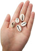8 Ounces (160~220pieces) Natural Spiral Cowrie Shell Beads Cut Sea Shell Connectors Beach Seashells Cowrie Shell Charms for Jewelry Making (Gray 0...