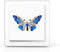 Crystal Butterfly Brooch | Enamel Lapel Pin for women | butterfly display case | Stunning Insect Ornament...