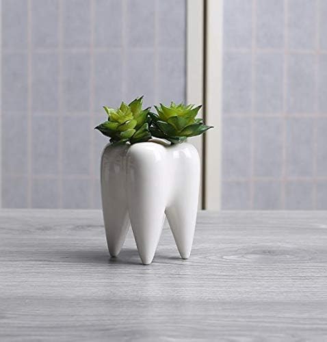 3.93 Inches Tall Tooth Shaped Ceramic Succulent Cactus Vase Flower Pot (Plants Not Included)...