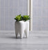 3.93 Inches Tall Tooth Shaped Ceramic Succulent Cactus Vase Flower Pot (Plants Not Included)...