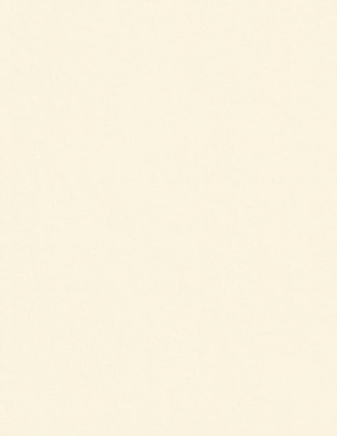 Cardstock Warehouse Colorplan China White - 8.5 x 11" - 100 Lb. / 270 Gsm Matte Premium Cardstock Paper - 25 Sheets...