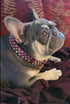 Rhinestone Leather Dog Collar Bling Dog Collars for Small Medium Large Dogs - Soft Microfiber Leather with Adjustable Stylish Sparkly Diamonds Stu...
