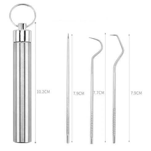 Dental Teeth Pick Stainless Steel Toothpick Set Reusable Tooth Stains Remover Dental Tool Teeth Cleaning Tools with Holder for Outdoor Picnic, Cam...