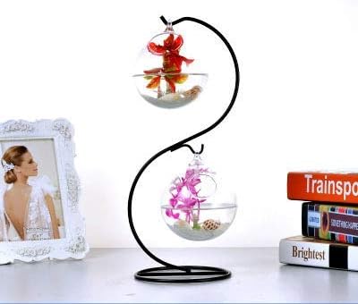 Archi 3 Pack Creative Hanging Plant Glass Stand Flower Holder for Landscape Garden Decor (S Shape Stand)...