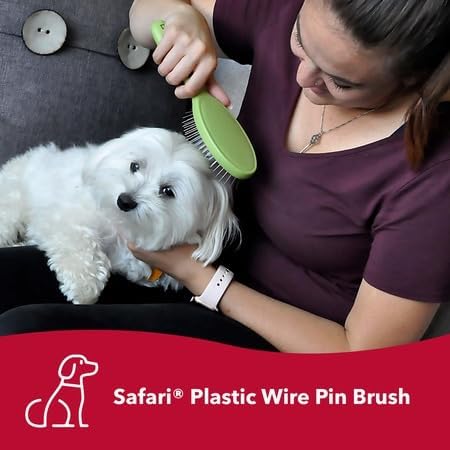 Coastal Pet Safari Wire Pin Brush with Plastic Handle - General Dog Grooming Brush for Dogs with Short and Long Hair - No-Slip Handle - Compatible...