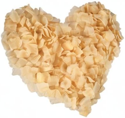 Nine to Nine Pack of 1000 Rose Petals, Artificial Flowers for Decoration Wedding Party (Champagne)...